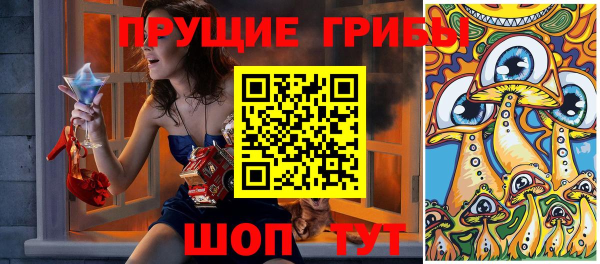 Псилоцибиновые грибы Psilocybine cubensis Зима