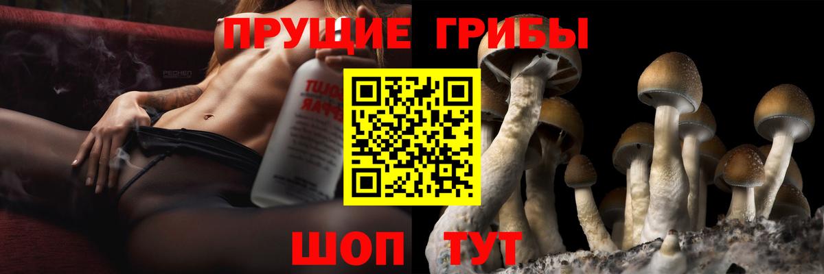 Зима  Галлюциногенные грибы прущие грибы  Вход с VPN  Галлюциногенные грибы GOLDEN TEACHER 